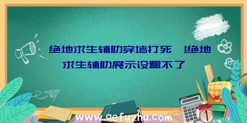 「绝地求生辅助穿墙打死」|绝地求生辅助展示设置不了